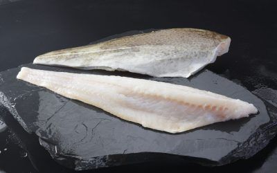 BACALAO FILETE