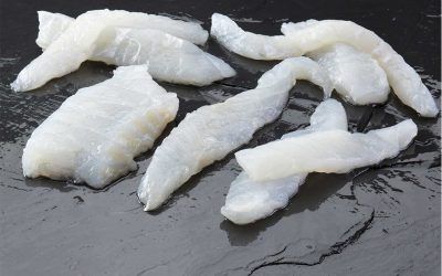 BACALAO MIGAS