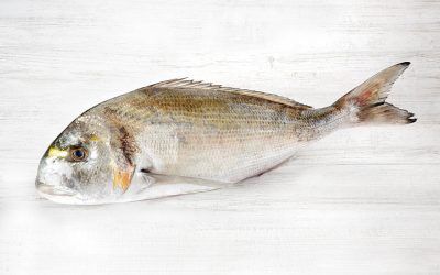 DORADA