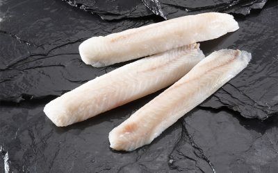 FILETE DE MUSTELA
