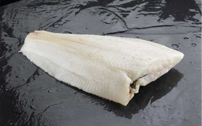 FLETAN FILETE