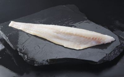 FOGONERO