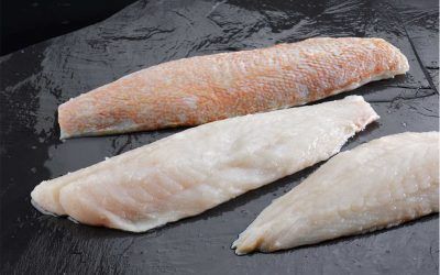 GALLINETA FILETE