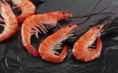 LANGOSTINO COCIDO