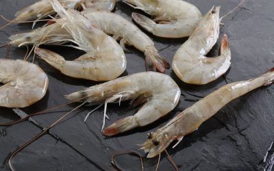 LANGOSTINO ‘VANNAMEI’