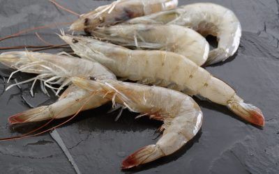 LANGOSTINO ‘VANNAMEI’
