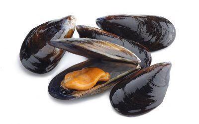 MEJILLÓN