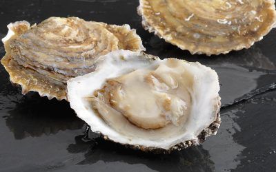 OSTRA