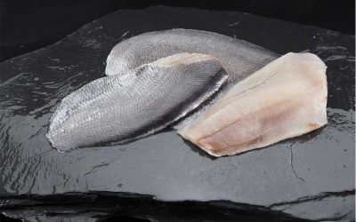 PALOMETA FILETE