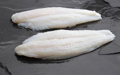 PANGA