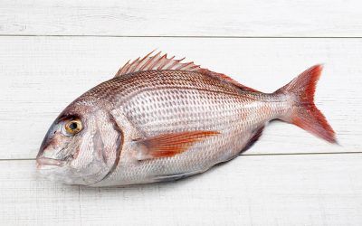 PARGO