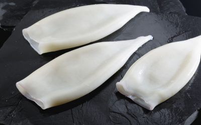 POTA TUBO (ILLEX)