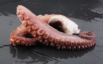 PULPO PATAS COCIDAS