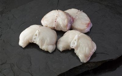 RAPE RODAJAS