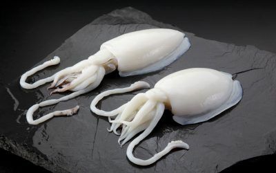 SEPIA LIMPIA (INDIA)