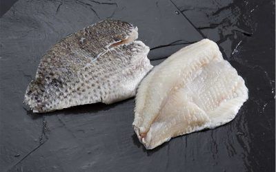 TILAPIA FILETE