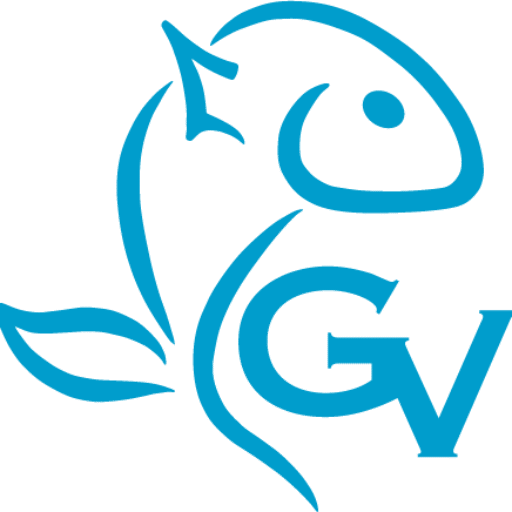 Grupo Videla